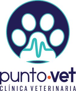 punto vet clinica veterinaria logo vertical