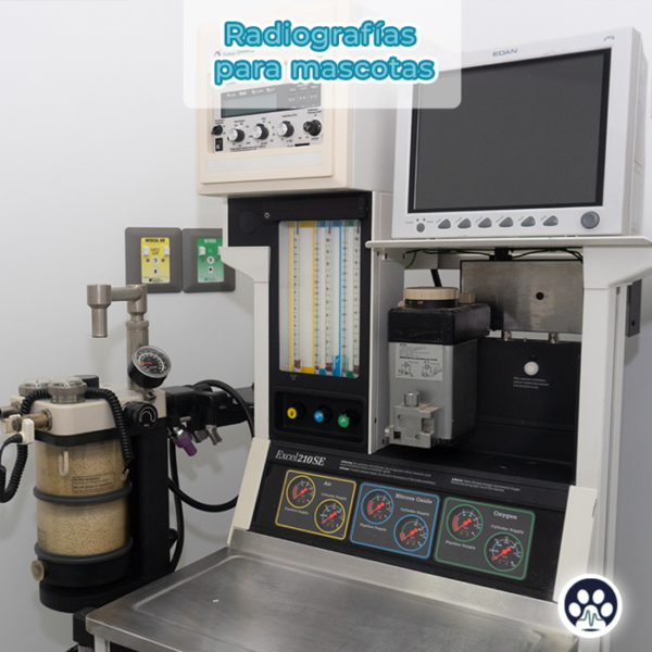 radiografías para mascotas