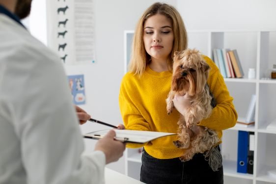 certificado médico veterinario nacional